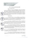 Vista preliminar de documento REA0199-2021