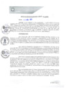 Vista preliminar de documento REA0203-2021