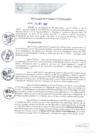 Vista preliminar de documento REA0243-2021