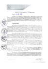 Vista preliminar de documento REA0240-2021