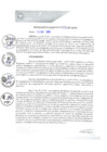 Vista preliminar de documento REA0241-2021