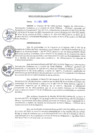 Vista preliminar de documento REA0248-2021