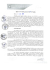 Vista preliminar de documento REA0234-2021