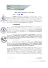 Vista preliminar de documento REA0252-2021