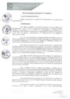Vista preliminar de documento REA0265-2021