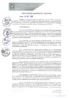 Vista preliminar de documento REA0264-2021