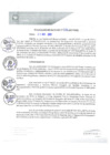 Vista preliminar de documento REA0256-2021
