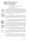 Vista preliminar de documento REA0257-2021