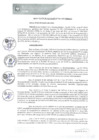 Vista preliminar de documento REA0262-2021