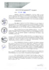 Vista preliminar de documento REA0267-2021