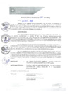 Vista preliminar de documento REA0270-2021
