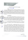 Vista preliminar de documento REA0275-2021