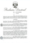 Vista preliminar de documento RD 213-2017.pdf