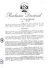 Vista preliminar de documento RD 212-2017.pdf