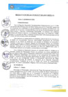 Vista preliminar de documento REA0001-2021