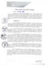 Vista preliminar de documento REA0009-2021