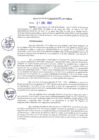 Vista preliminar de documento REA0041-2021