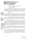 Vista preliminar de documento REA0071-2021