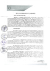 Vista preliminar de documento REA0078-2021