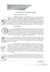 Vista preliminar de documento REA0077-2021