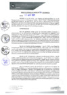 Vista preliminar de documento REA0103-2021