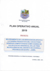 Vista preliminar de documento Plan Operativo Anual 2019, MD. Coviriali