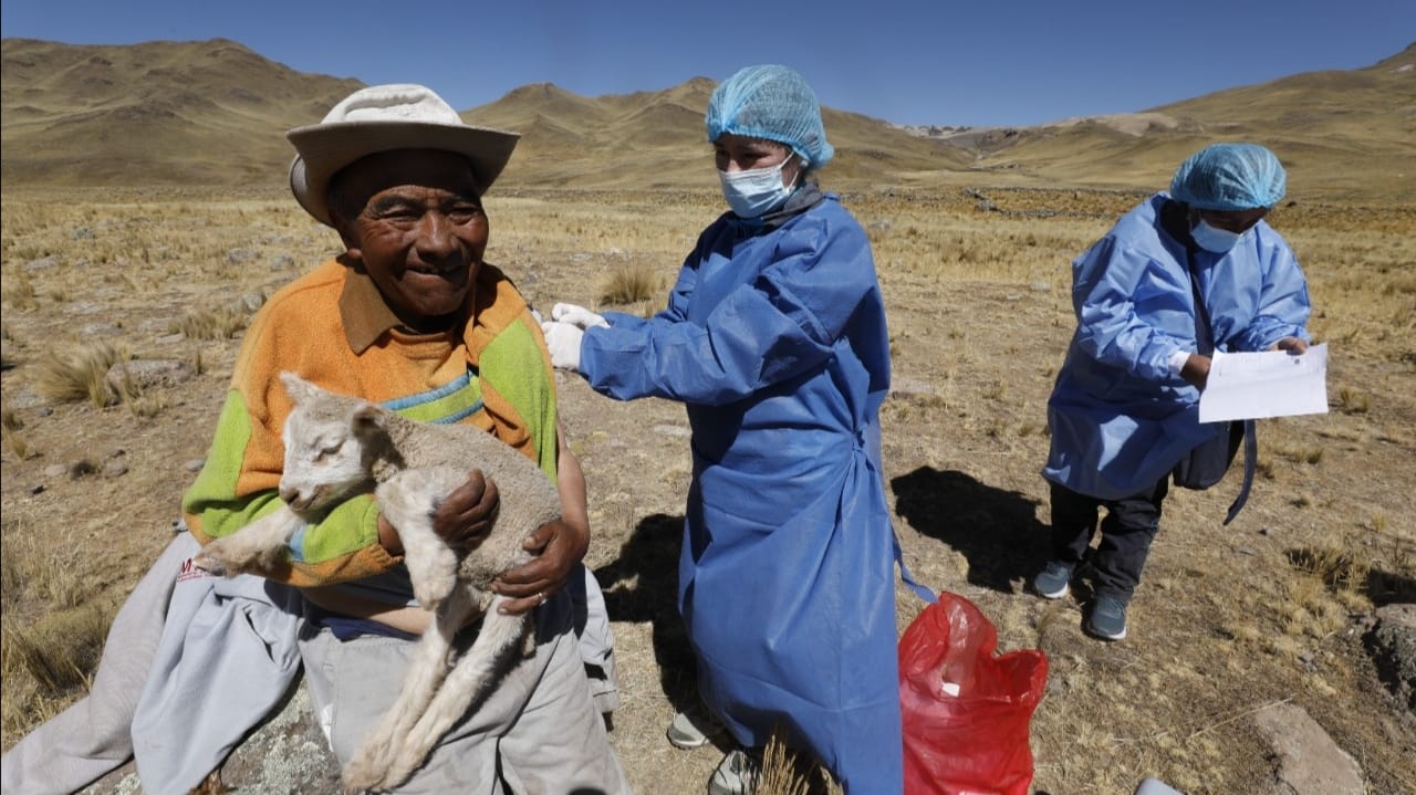 Brigadas de salud vacunan a más de 4200 m.s.n.m. en las zonas altoandinas de Puno por las heladas