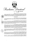 Vista preliminar de documento RD 207-2017.pdf