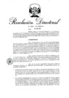 Vista preliminar de documento RD 206-2017.pdf