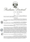 Vista preliminar de documento RD 205-2017.pdf
