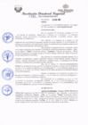 Vista preliminar de documento RDR 081.pdf