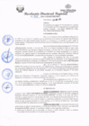 Vista preliminar de documento redi2021_147.pdf