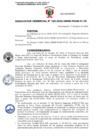 Vista preliminar de documento RG 160-2022