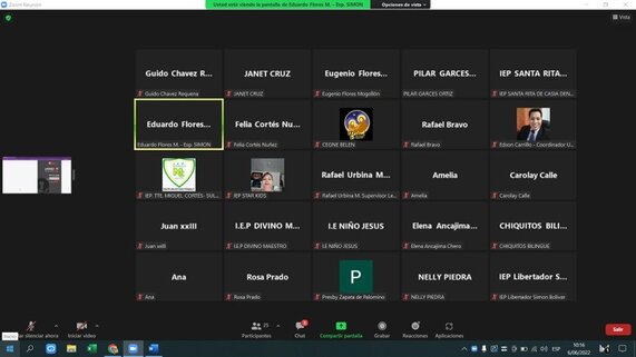 Reunión virtual de la Asistencia Técnica I.E privadas