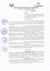 Vista preliminar de documento redi2021_155.pdf