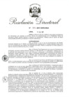 Vista preliminar de documento RD 177-2017.pdf
