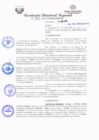 Vista preliminar de documento redi2021_217.pdf