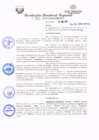 Vista preliminar de documento redi2021_219.pdf