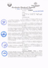 Vista preliminar de documento redi2021_224.pdf