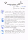 Vista preliminar de documento redi2021_225.pdf