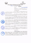 Vista preliminar de documento redi2021_226.pdf