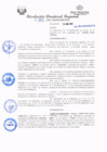 Vista preliminar de documento redi2021_229.pdf