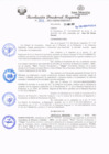 Vista preliminar de documento redi2021_231.pdf