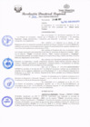 Vista preliminar de documento redi2021_234.pdf