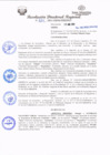 Vista preliminar de documento redi2021_239.pdf