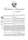 Vista preliminar de documento RD 176-2017.pdf