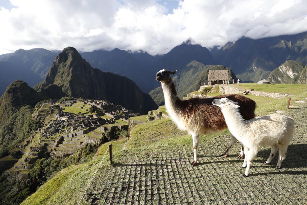 Ministerio de Cultura: En el primer trimestre del año más de 180 mil personas visitaron museos y sitios arqueológicos del Perú