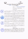 Vista preliminar de documento redi2021_300.pdf