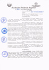 Vista preliminar de documento redi2021_302.pdf