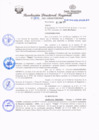 Vista preliminar de documento redi2021_306.pdf